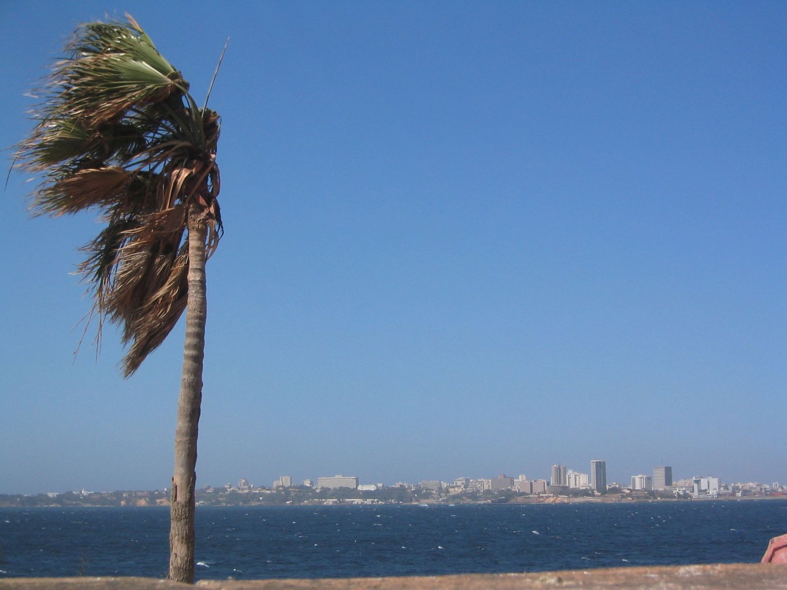 Les immeubles du Plateau, centre-ville de Dakar, vus depuis la mer
